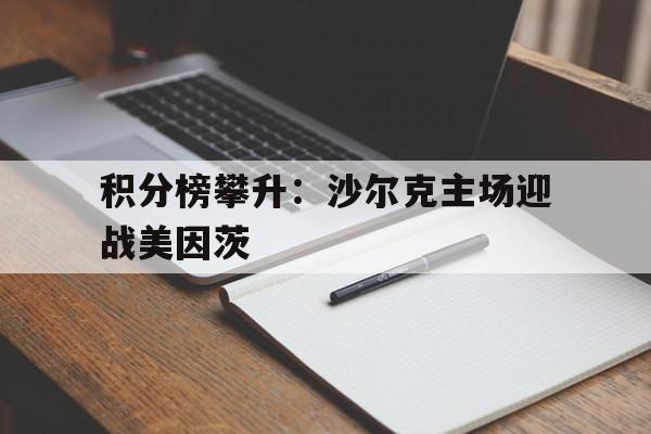 包含积分榜攀升：沙尔克主场迎战美因茨的词条